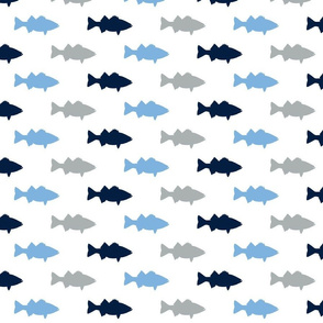 multi fish || Carolina blue