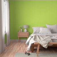 Kiwi Apple Green Solid Linen Texture _Miss Chiff Designs