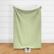  Linen Woven Texture Pale Kiwi Green Solid home decor _Miss Chiff Designs
