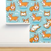 Corgi