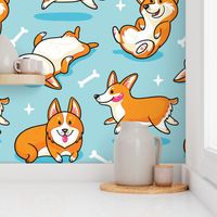 Corgi