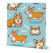 Corgi