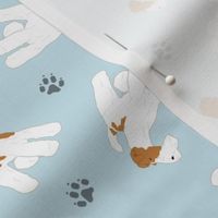 Tiny Wire Fox Terriers - blue