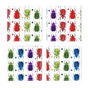 Shadowbox Rainbow Beetles