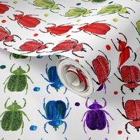 Shadowbox Rainbow Beetles