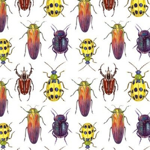 watercolor bright beetles
