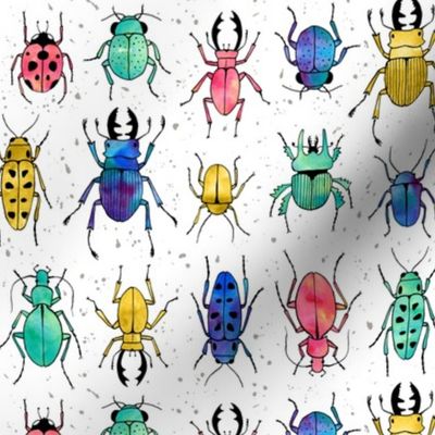 Beetles Insects in watercolor