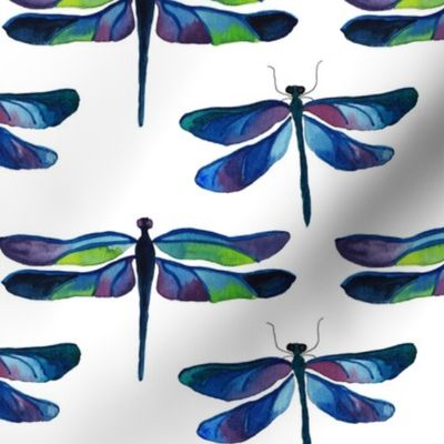 Dragonflies