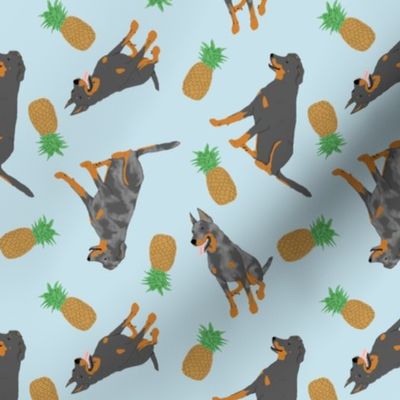 Tiny Beaucerons - pineapples