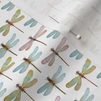 Watercolor dragonflies mini