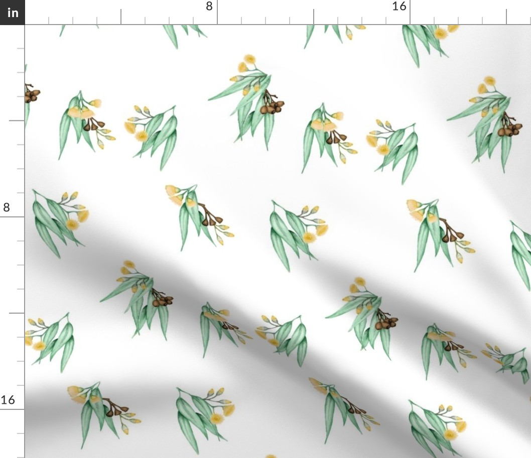 Gum Blossom, v1 Yellow Flowering Eucalyptus