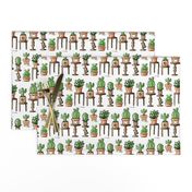 Terracotta Tooth Succulent and cacti Dental Design green orange rdh 