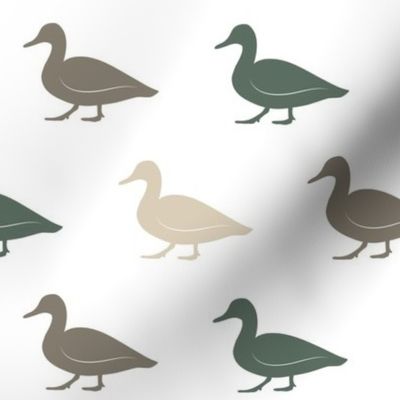 multi duck - wholecloth coordinate (dark sage)