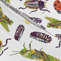 Watercolor Insects on White Background