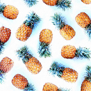 Painted Pineapples on White