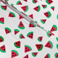 Fun Little  Watermelon Slices