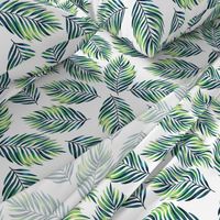 Tropical green branches