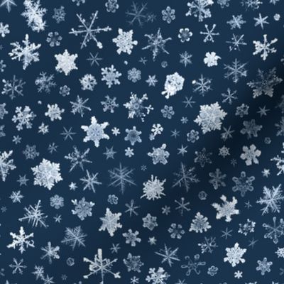 late evening sky snowflakes - large
