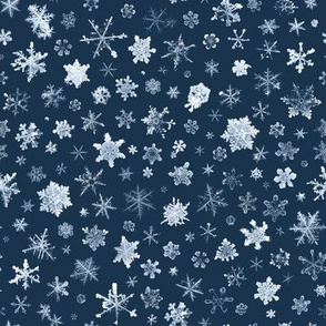 late evening sky snowflakes - large