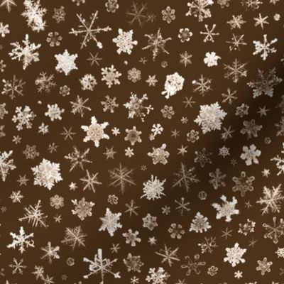 photographic snowflakes on chocolate brown - large