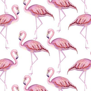 Pink flamingo