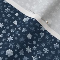 late evening sky snowflakes - small
