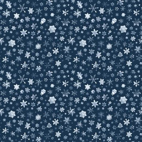 late evening sky snowflakes - small