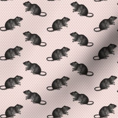 Rats on  white dots pink background 2