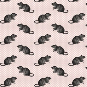 Rats on  white dots pink background 2