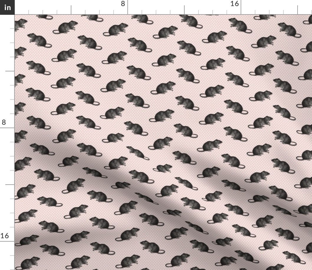 Rats on  white dots pink background 2