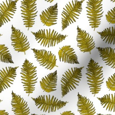 Botanical hawaiian summer garden green fern tropical plant mustard yellow SMALL