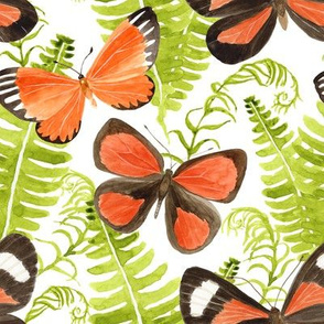 Butterflies and Ferns - medium scale