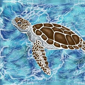 Sea turtles #1 by Salzanos