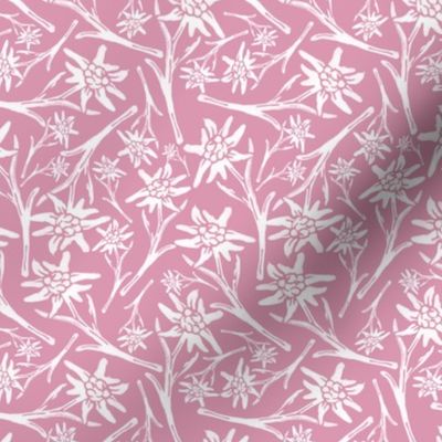 Edelweiss Lace Nr. 2 Pink Small