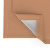 light copper solid