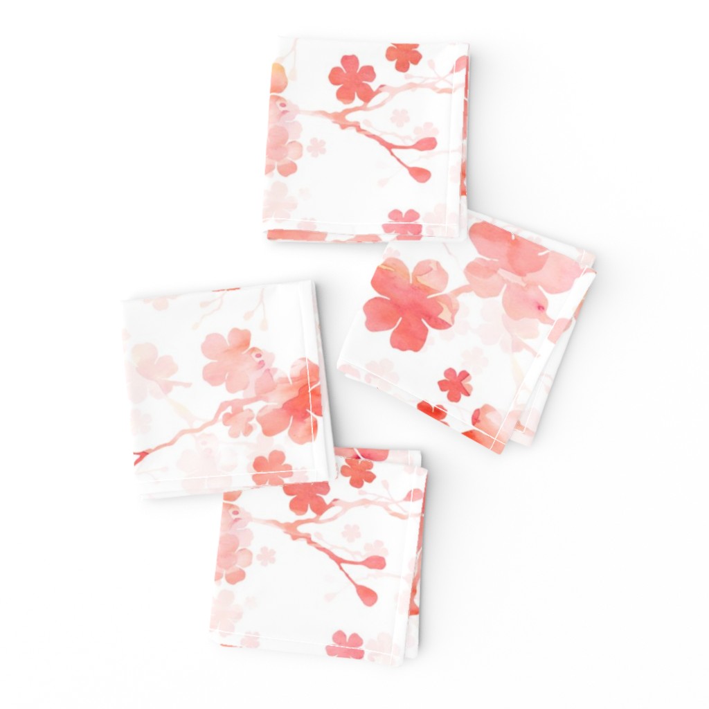 Peach pink cherry blossom on white