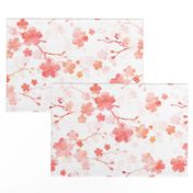 Peach pink cherry blossom on white