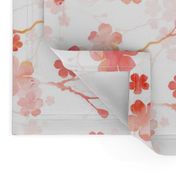 Peach pink cherry blossom on white