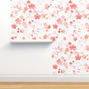 Peach pink cherry blossom on white