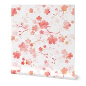 Peach pink cherry blossom on white