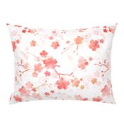 Peach pink cherry blossom on white