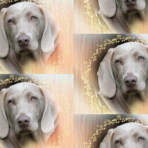 pastel weimaraner