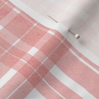 Double line peach pink check