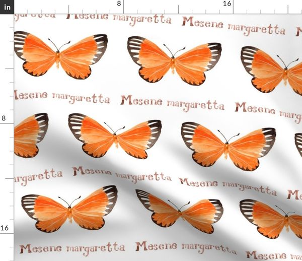 Schmetterling Wissenschaftlich Dunkelorange Handlettering