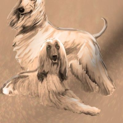 Afghan Hounds in Sepia tones