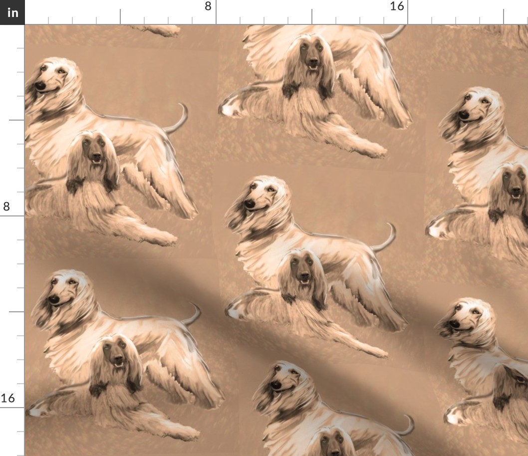 Afghan Hounds in Sepia tones