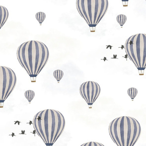 Hot Air Balloons over the Safari