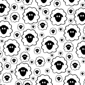 Scattered Fluffy Sheep Faces