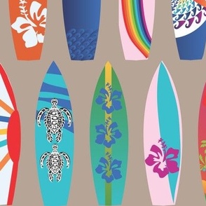 Colorful Surf Board Story Boards sand