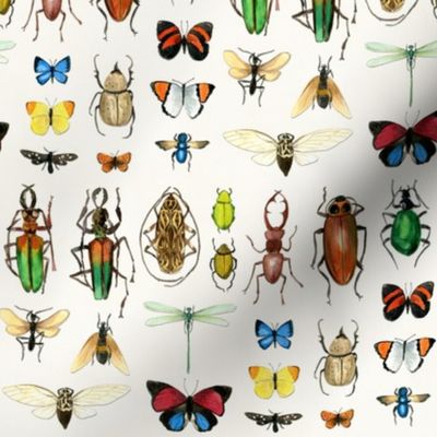 The Usual Suspects - insects on white - medium-small